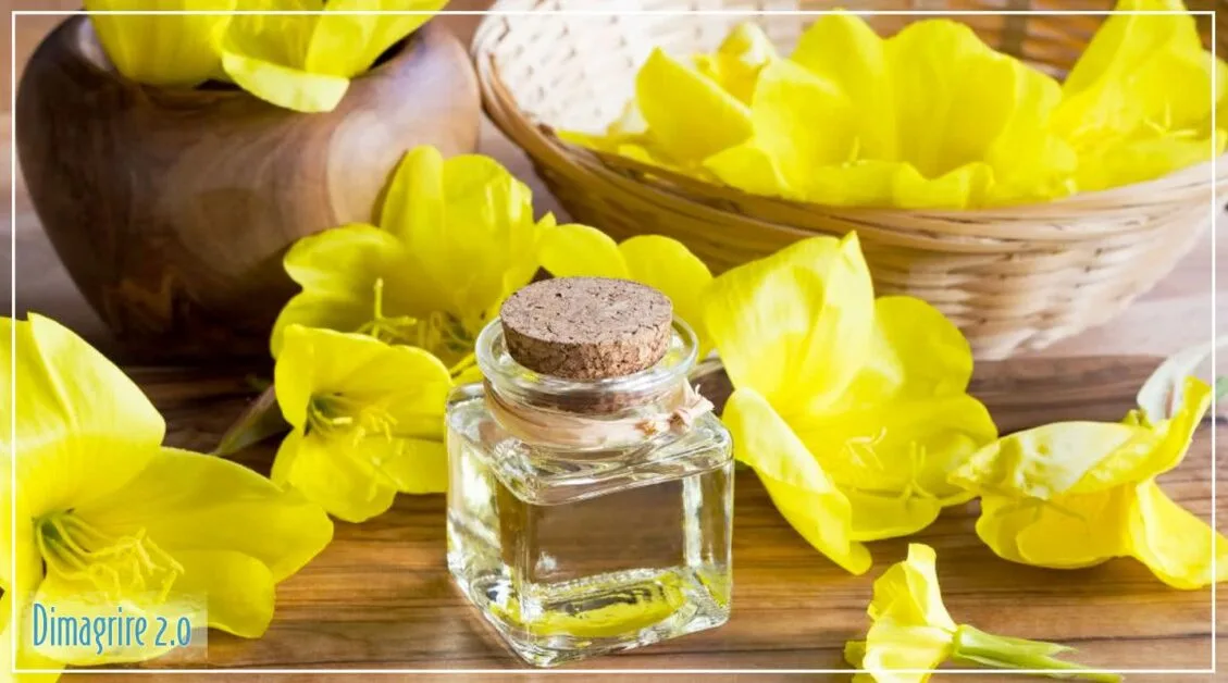 Olio di enotera: pelle luminosa, capelli forti, equilibrio ormonale perfetto dimagrire Olio di enotera