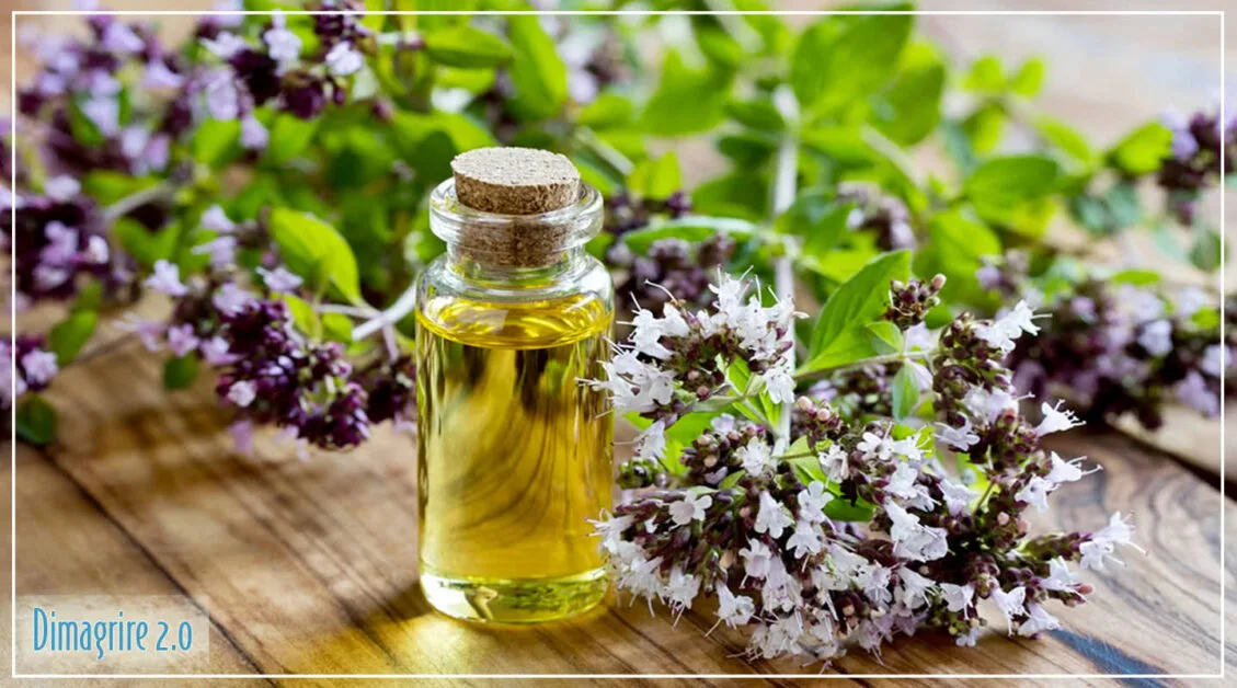 Olio essenziale di origano: proprietà, usi e benefici dimagrire Olio essenziale di origano