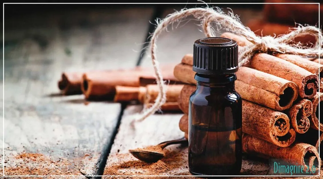 Olio di cannella: benefici e usi per il tuo benessere dimagrire Olio-essenziale-di-cannella